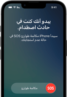ميزة الرسائل عبر&nbsp;القمر&nbsp;الصناعي قيد الاستخدام