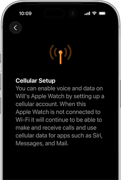 Cellular setup screen